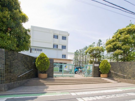 周辺環境　川口市立芝中央小学校 徒歩9分。 660m