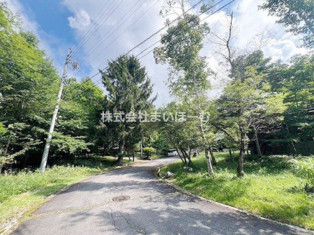 쌧skR ̒ÈˌĂ̌nOώʐ^