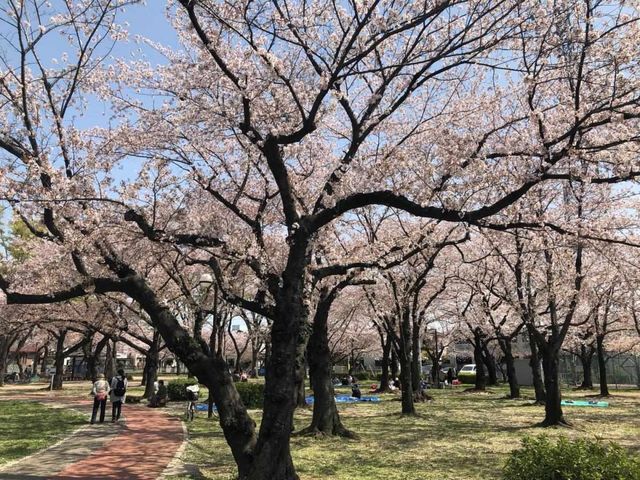 ʌs4ڂ̒Ã}V̎ӊ