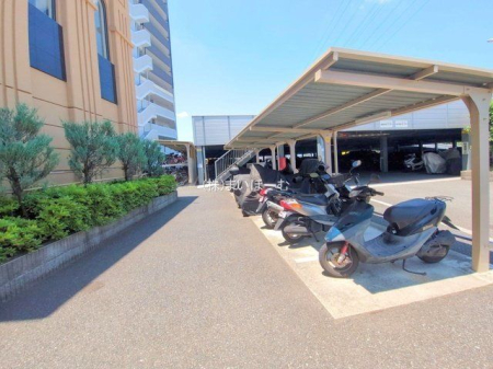 ʌs厚 ̒Ã}V̌nOώʐ^