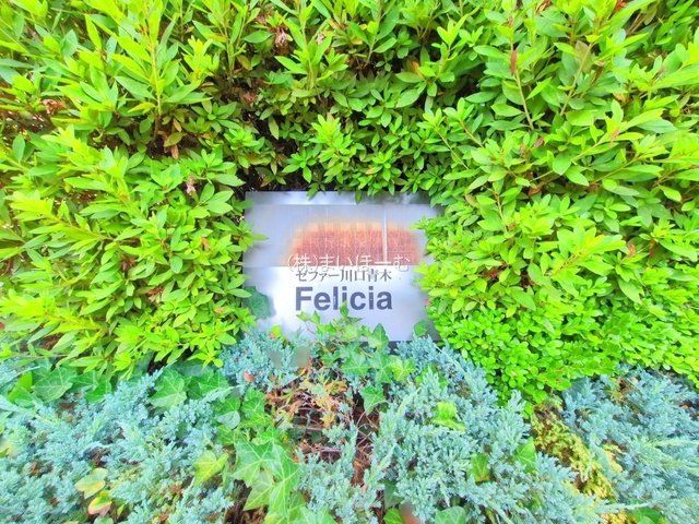 ʌs1ڂ̒Ã}V̌nOώʐ^