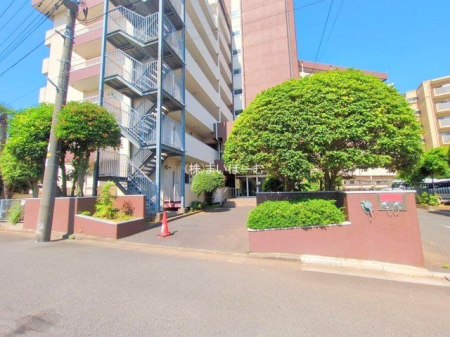 ʌs厚Oc ̒Ã}V̌nOώʐ^