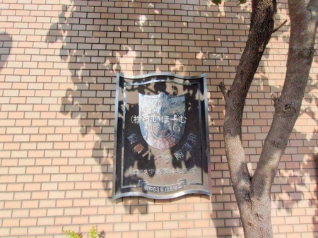 ʌs厚J ̒Ã}V̌nOώʐ^