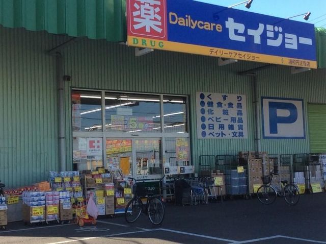 ʌ܎s厚~ ̒ÈˌĂ̎ӊ